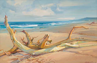 Titta Fasciotti; Drift Wood on the Beach