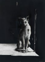 Craig Muller; Calisto