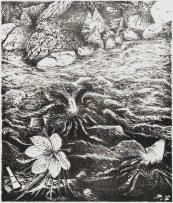 Karel Nel; Somewhere a Brahmarandhra Blooms Quietly