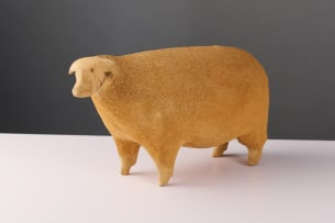 Contemporary roadside sheep, South Africa