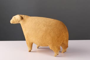 Contemporary roadside sheep, South Africa