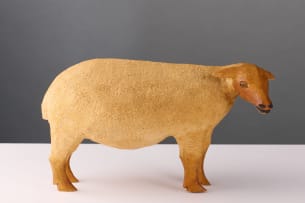 Contemporary roadside sheep, South Africa