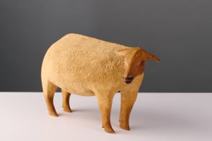 Contemporary roadside sheep, South Africa