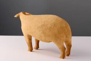 Contemporary roadside sheep, South Africa