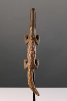 Crocodile, West African