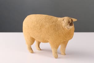 Contemporary roadside sheep, South Africa