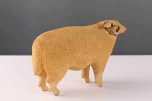 Contemporary roadside sheep, South Africa