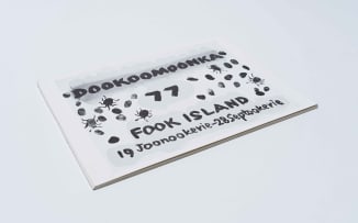 Walter Batiiss; Dookoomonka