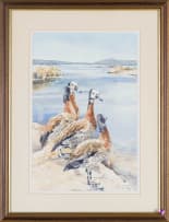 Barbara Siedle; White Faced Whistling Ducks