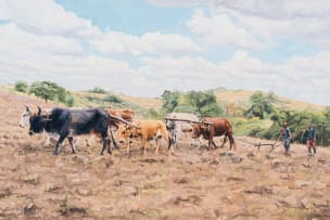 Sipho Ndlovu; Amagoduka (Going Back)