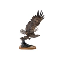 Arend Eloff; The Fish Eagle