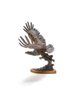 Arend Eloff; The Fish Eagle