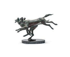 Llewellyn Davies; Wild Dogs