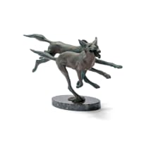 Llewellyn Davies; Wild Dogs