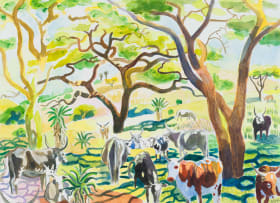 Nichola Alice Leigh; Nguni Cattle at Cumberland