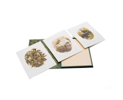 Gail Denise Darroll; Birds of the Southern Cape, The Sappi Selection