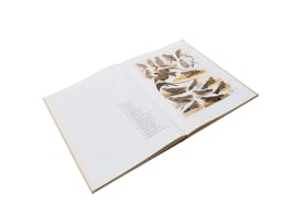 A V Bird (ed); The Paintings of Norman Lighton for Roberts Birds of South Africa