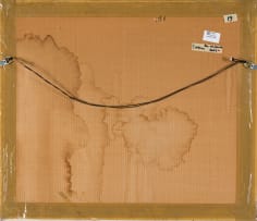 Dumisani Sibisi; Township Scene