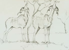 Zakkie Eloff; Kudu Grazing