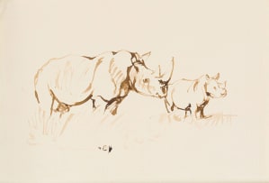 Zakkie Eloff; Two Rhinos