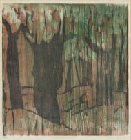 Alice Goldin; Olive Orchard