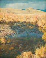 Alan Wolton; Wetland Landscape
