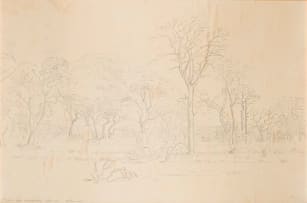Jacob Hendrik Pierneef; Mahila. Dist Waterberg