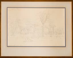 Jacob Hendrik Pierneef; Mahila. Dist Waterberg