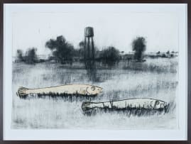 Beezy Bailey and Johann Louw; Fish in a Desolate Landscape