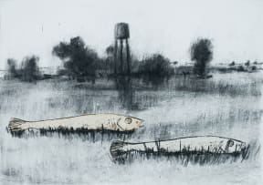 Beezy Bailey and Johann Louw; Fish in a Desolate Landscape