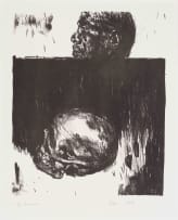 Johann Louw; Skull and Side Profile