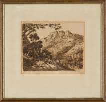 Tinus de Jongh; Mitchell's Pass, Ceres