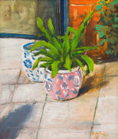 Colbert Mashile; Potted Plant