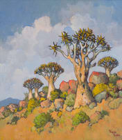 Conrad Theys; Quiver Trees, Richtersveld