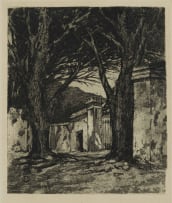 Nita Spilhaus; Twin Trees