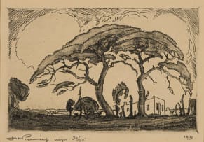 Jacob Hendrik Pierneef; Camel Thorn and Voortrekker House