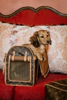 Louis Vuitton; A Vintage Monogram Sac Chien (Dog Bag) with Gold-Tone Hardware
