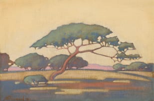 Jacob Hendrik Pierneef; Umbrella Thorn