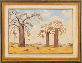 Erich Mayer; Baobabs