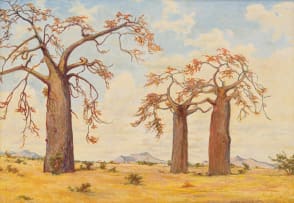 Erich Mayer; Baobabs
