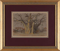 Erich Mayer; Baobab (Feb Online 2026)