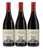 Sons of Sugarland; Syrah; 2019; 3 (1 x 3); 750ml