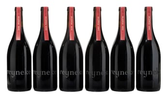 Reyneke; Reserve Red; 2008; 6 (1 x 6); 750ml