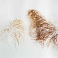 Nandipha Mntambo; Quiet Acts of Affection (A)