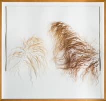 Nandipha Mntambo; Quiet Acts of Affection (A)