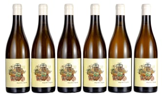 Van Loggerenberg; Kameraderie Chenin Blanc; 2017; 6 (1 x 6); 750ml