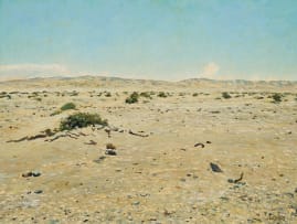 Walter Meyer; Trees + Rock, Richtersveld