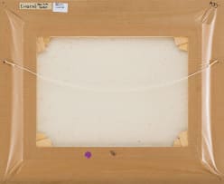 Walter Meyer; Trees and Rock, Richtersveld