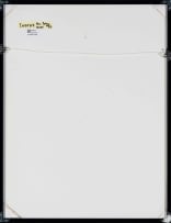 Andrew Verster; Landscapes, twelve