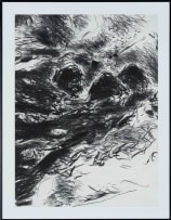 Andrew Verster; Landscapes, twelve